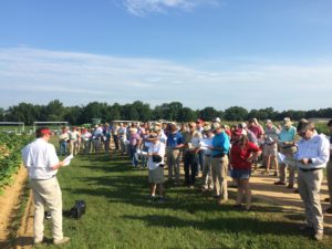 Cover photo for 2017 Organic Grain, Peanut, and Tobacco Field Day